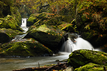 Nature, Water, Stones, Waterfall, Branches, Moss HD wallpaper