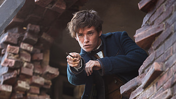 Fantastic Beasts, Eddie Redmayne, Top backgrounds HD wallpaper