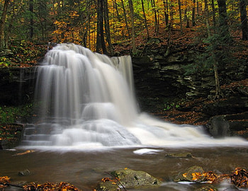 Dry Run Falls, falls, trees, water, forest HD wallpaper