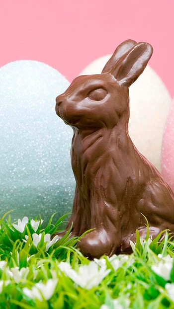 Easter, Chocolate, Rabbit HD phone wallpaper