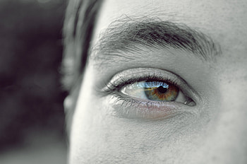 beautiful eyes, actor, people, nice eye, black and white HD wallpaper
