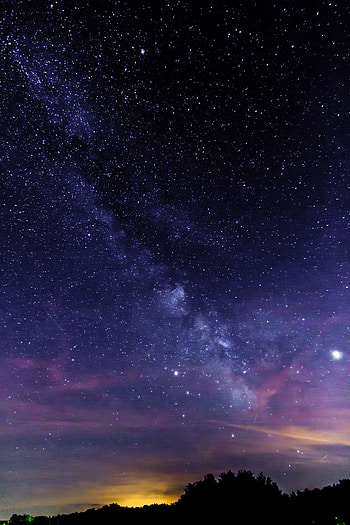 Nature, Trees, Stars, Silhouette, Starry Sky, Nebula HD phone wallpaper