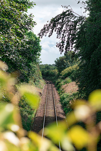 Nature, Trees, Bush, Railway, Rails HD phone wallpaper