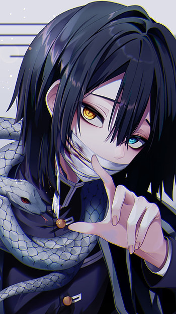 Hashira, demonslayer, snake HD phone wallpaper