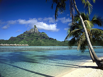 Landscape, Sea, Beach, Palms HD wallpaper