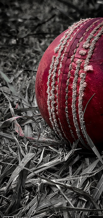 High-quality cricket , , Cricket HD phone wallpaper