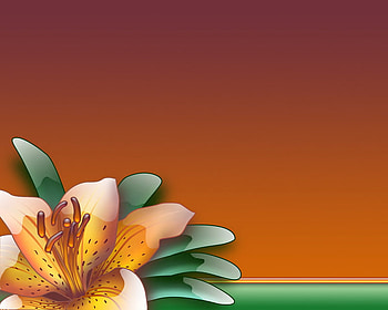 ALOHA FLOWER, aloha, flower HD wallpaper