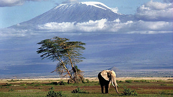 Mount Kilimanjaro, Kilimanjaro , Christopher Johnson post, Striking visuals HD wallpaper