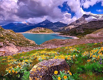 Beautiful Scenery, , flowers, mountains, lake HD wallpaper