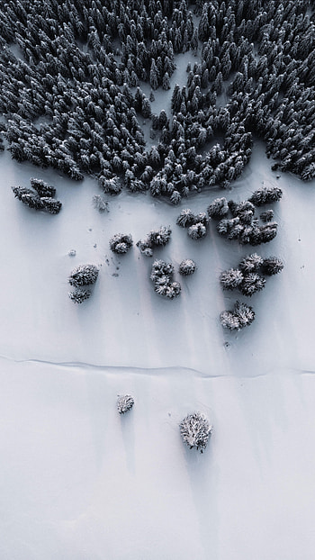 Winter, Nature, Snow, View From Above, Forest HD phone wallpaper