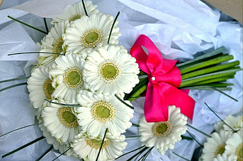 Flowers, Gerberas, Bouquet, Bow, Handsomely, It's Beautiful, Snow White HD wallpaper