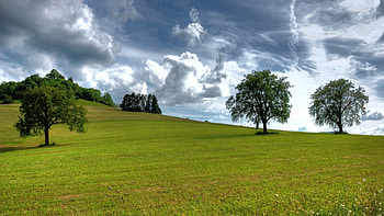 Nature, Trees, Grass, Sky, Clouds, Summer, Air HD wallpaper