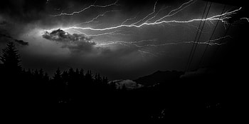 Lightning, Forest, Fir, Spruce, Bw, Chb HD wallpaper