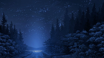 forest snow mountain road winter tree sky night star fox HD wallpaper