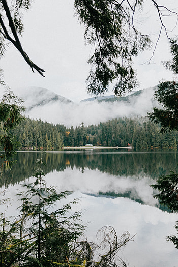 Landscape, Nature, Mountains, Clouds, Lake, Shore, Bank, Forest HD phone wallpaper