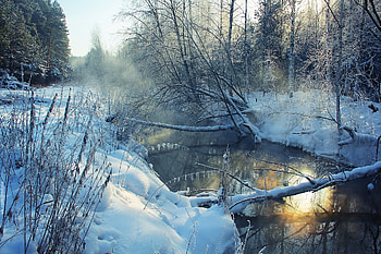 Landscape, Winter, Nature, Rivers, Snow, Shore, Wood, Tree, Morning, Frost, Hoarfrost, Shores HD wallpaper