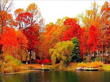 Autumn Colors, view, autumn, colors, beautiful HD wallpaper