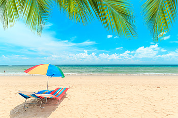 Tropical Summer, Beach, Sand, Umbrella, Sea HD wallpaper