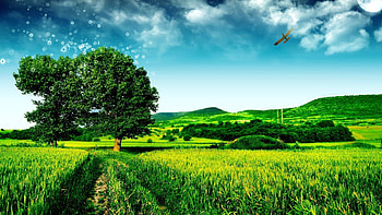 Cool landscape On Backgrounds with landscape HD wallpaper
