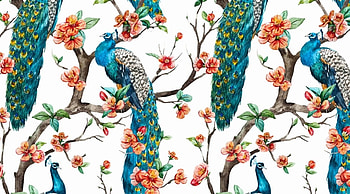 Pattern, blue, white, exotic, burd, orange, summer, paun, green, flower, texture, peacock, pasari, vara HD wallpaper