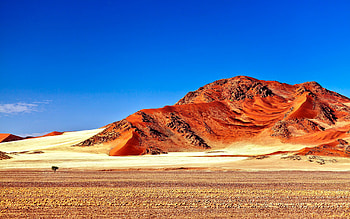 Tree, , Desert, Mountain, Sky HD wallpaper