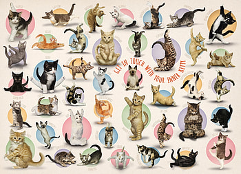 :), kitten, animal, yoga, cute, cat, collage, pisica, creative, fantasy, texture, funny HD wallpaper