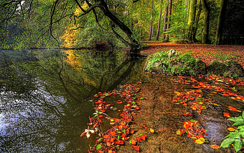 Landscape, Rivers, Trees HD wallpaper
