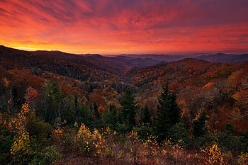 Great Smoky Mountains, National Park, , Stunning backgrounds HD wallpaper