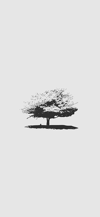 Minimalist white, Black and White Tree HD phone wallpaper
