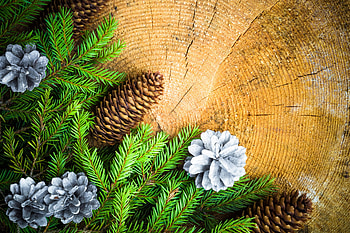 Xmas, merry christmas, magic christmas, christmas HD wallpaper
