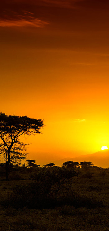 Africa, Earth sunrise, Natural beauty HD phone wallpaper