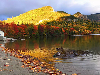 New England's Ellacoya State Park in Fall, Lakes, Fall, Mountains, Nature, Autumn HD wallpaper