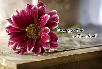 Praying for those in Connecticut, god, thoughts, jesus, prayers, sorrow, sadness, thinking of you, holy spirit, flower, flowers, heart, connecticut, praying, mourning HD wallpaper