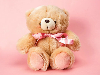 CUTE TEDDY, TEDDY, CUTE, BEAR HD wallpaper
