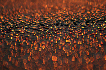 Drops, Macro, Glare, Bokeh, Boquet HD wallpaper