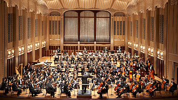 Orchestra splendor, Musical ensemble, Captivating performances, Symphonic art HD wallpaper