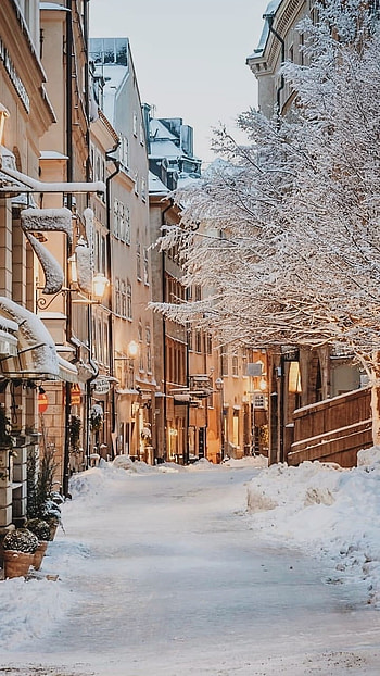 Snow, Snow City HD phone wallpaper