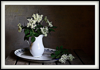 still life 1, art , still life, white, vase, platte, flowers, nice HD wallpaper