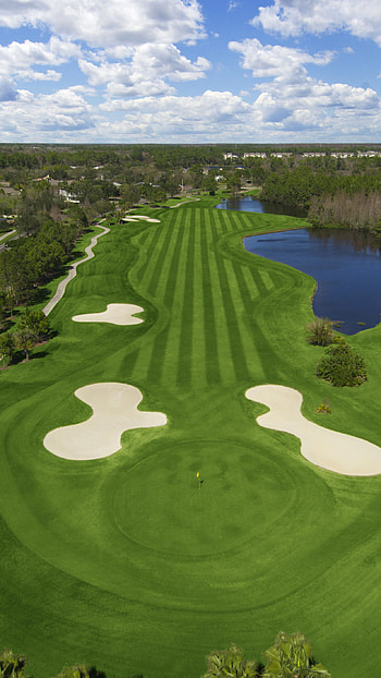 Golf, , 48 HD phone wallpaper