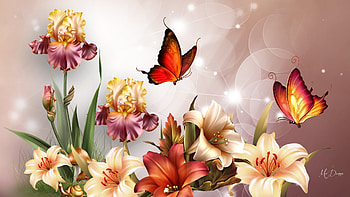 Lilies & More, colorful, bokeh, iris, butterflies, Firefox theme, summer, lights, bright, flowers, lilies HD wallpaper