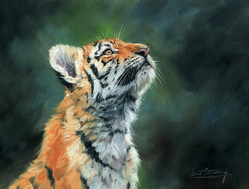 Little tiger, kitten, art, tiger, painting, pictura, tigru, cute, cat HD wallpaper