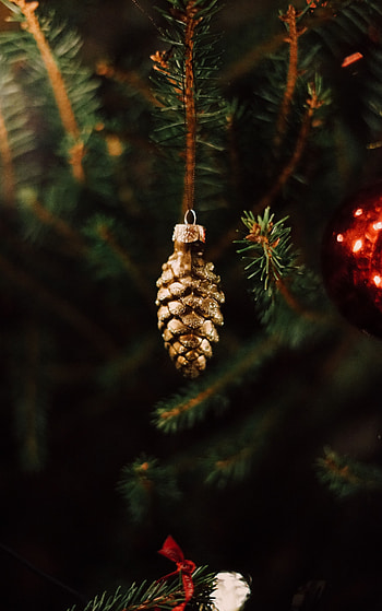 Holidays, New Year, Christmas, Christmas Tree, Decoration, Cone, Bump HD phone wallpaper