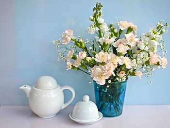Flowers, Carnations, Bouquet, Gypsophilus, Gipsophile, Vase, Levkoy, Gillyflower, Porcelain HD wallpaper