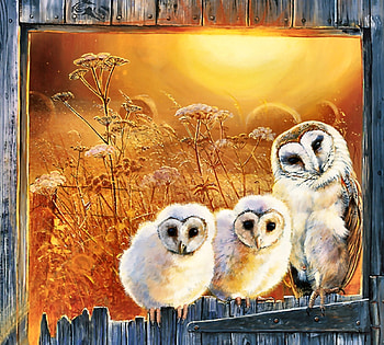Owls in the Window F, animal, bird, art, barn owls, beautiful, illustration, avian, artwork, owls, wide screen, wildlife, painting, raptors, nature HD wallpaper