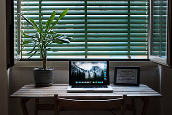 Elegant home office desk setup with a laptop and a plant near a window. Ideal for remote work. HD wallpaper