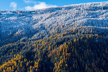 Nature, Trees, View From Above, Forest, Snow Covered, Snowbound, Slope HD wallpaper