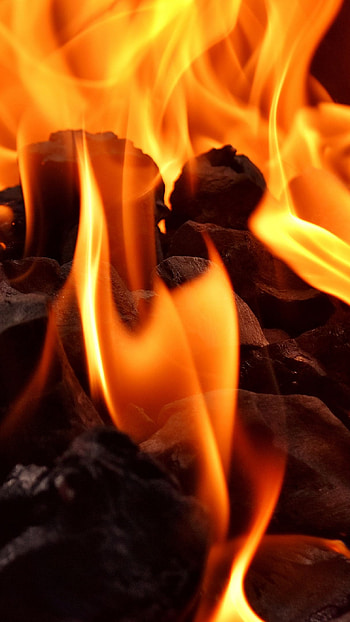 Fire Flames on the Coal, flames, fire, heat HD phone wallpaper
