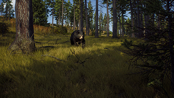 Way of the Hunter, video game, Way of the Hunter HD wallpaper