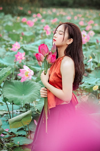 A woman with long hair holding pink lotus flowers in a vibrant lotus field. HD phone wallpaper