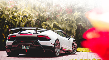 Lamborghini Huracan Performante Rear 2018, lamborghini-huracan-performante, lamborghini-huracan, lamborghini, 2018-cars, cars HD wallpaper